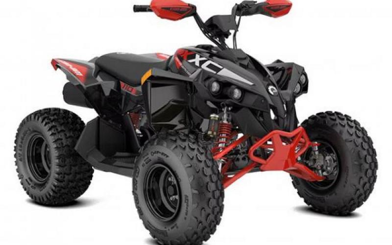 Can-Am RENEGADE X XC 110 EFI
