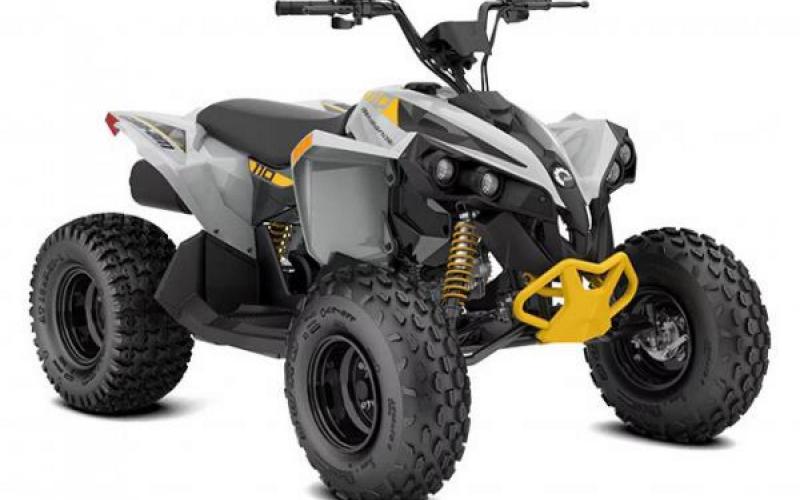 Can-Am RENEGADE 110 EFI