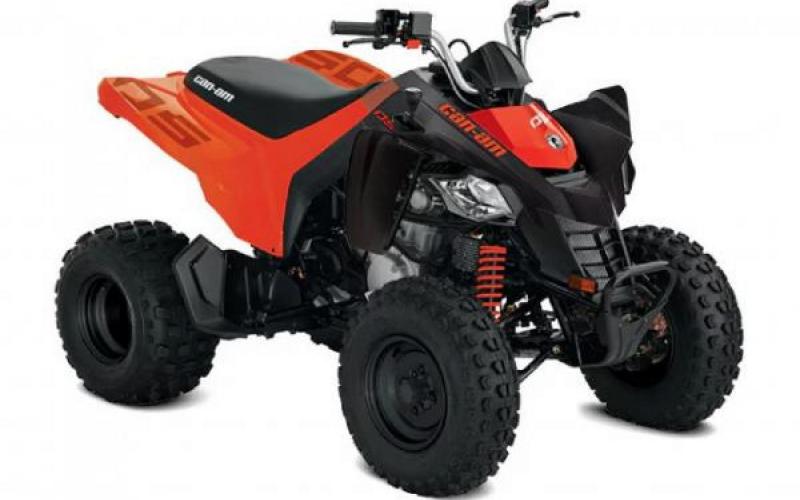 Can-Am DS 250