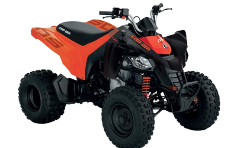 Can-Am MY25 DS 250