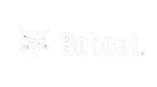 bobcat